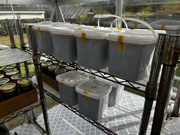 Killer Bee WILD HONEY The best HONEY ON THE PLANET 100% PURE 1