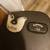 Callaway i-trax Putter Golf Club Like New! 8 thumbnail