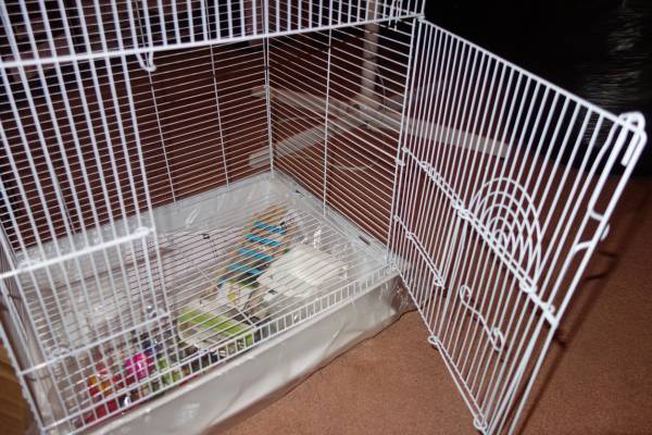 Penn-Plax Small Bird Starter Kit Square Style Bird Cage White 18"x14 (West Hartford)64026677762050123