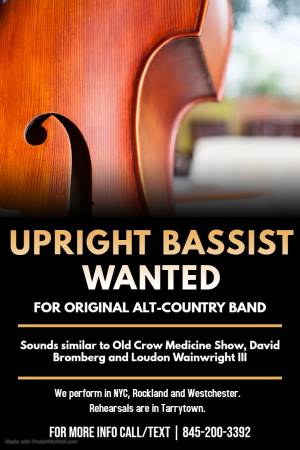 Double Bassist Wanted for Original Alt Country/Americana Band (Tarrytown)63690333660675120