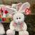 TY Beanie Babies - brand new 6 thumbnail