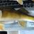 2 perch taxidermy 4 thumbnail