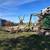 🌳🌲🏡Tree Service,Tree Removal,Stump Grinding,Tree Trimming 9 thumbnail