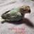 Baby lovebirds 3 thumbnail