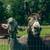 Standard Donkeys 2 thumbnail