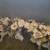 Wedding, Bridal shower decor.White silk flower garlands, bouquets 1 thumbnail