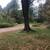 3 bedroom, In Farm House beautiful land 8 thumbnail