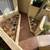 Immaculate landscape design specialist with complete quality lawn care 19 thumbnail