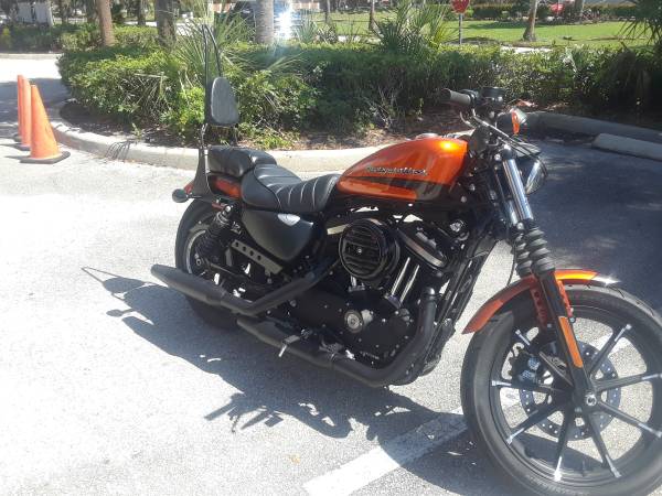 2021 Harley Davidson 883 iron lx (Hobe Sound)63832903155713122