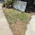 Lawn Mowing ☮️🕊️🌱🍃🌿 Prosperity Services 13 thumbnail