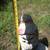 Concrete Garden Gnome 5 thumbnail
