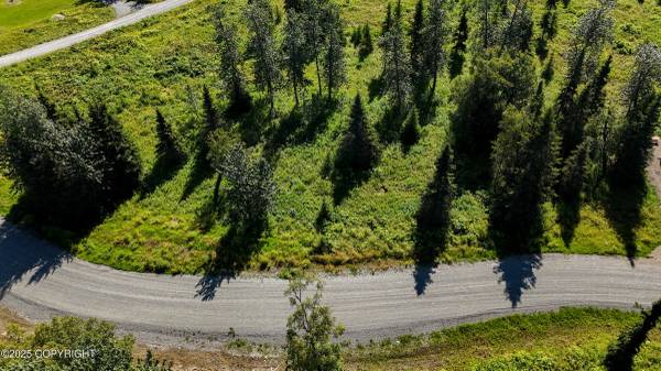 $30,000 1.13 Acre lot in Ninilchik (Ninilchik)64163336246147123