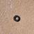 FREE Wheelchair small wheel needs to be reattached 9 thumbnail