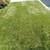 Landscaping,overgrown,trimming,cutting,edgeing,Mulch etc.443-619-0906 20 thumbnail