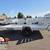 2026 Aluma 7812ESA Utility Trailer | Ace Trailer Sales 6 thumbnail
