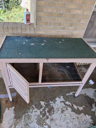 Rabbit Hut 1