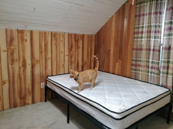 $650 / 2br - 288ft2 - Room for Rent (Everett)64031308050819121