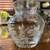 Glass Vases Assortment, Quotable Coasters - “This is My Wish for You” 1 thumbnail