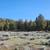 Lot 30 Silver Spur - 0.44 Acre Level Homesite, Mt Shasta View - Lake Shastina -  3 thumbnail