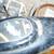 Outboard Motors/Yamaha//Nissan-M18C/Minn Kota/Motor Guide 11 thumbnail
