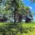 Vacant Lot on Wisconsin River 14 thumbnail