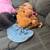 female dachshund 2 thumbnail