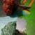 Owl decor 2 thumbnail