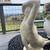 Rare Vintage Capiz Shell Nude Woman Sculpture – Mid-Century Modern 14” 7 thumbnail