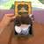 Disney/MGM - Dorothy-Wizard of Oz -jack in the box - 50th Anniversary 8 thumbnail