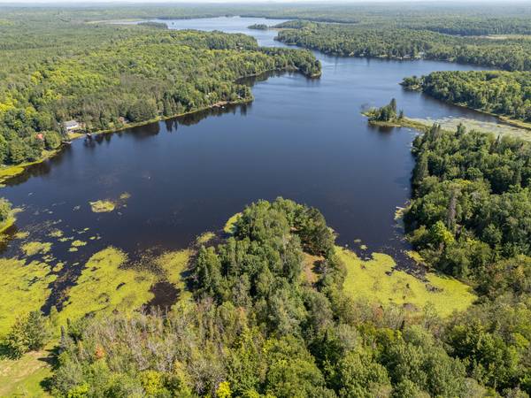 $83,900 / 283140ft2 - 6.5 Acres of Pure Serenity on Chaney Lake! (Bessemer)64151610588417120