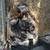 Chick 3 thumbnail