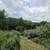 13.05 acres Broadhead School road Middlebrook 6 thumbnail