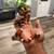 Milk Snake 2 thumbnail