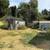 2BD/1BA Quiet Spot Beside City Park 3 thumbnail