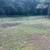 🏡 SAME DAY AFFORDABLE LAWN AND JUNK REMOVAL SERVICES 🗑️ 23 thumbnail