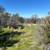 80 Acres Near Lake Oroville 20 thumbnail