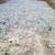 Rock,gravel, sand, or sawdust 2 thumbnail