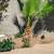 Affordable Landscape 9 thumbnail
