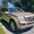 2007 Mercedes Benz GL450 10 thumbnail
