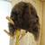 Ak Full Fur Beaver Hat 2 thumbnail