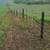 Cattle ag fencing 5 thumbnail