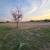 Field Office FOR LEASE 5 thumbnail