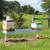 Beekeeping Setup with Producing Hives 6 thumbnail