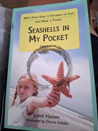 Seashell in my pocket 1