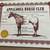 YP Sunup, ‘24 Appaloosa gelding 4 thumbnail