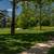 Strength and Cardio Room, Private Balconies, Lake and Walking Trails 7 thumbnail