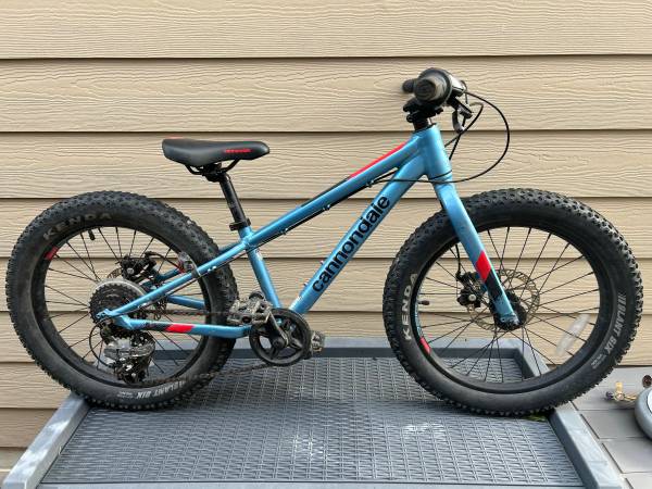 Cannondale extreme raven