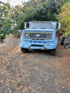 1984 CHEVY 70 series 20FOOT FLATBED BARN FIND  on Craigslist