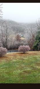 Audi A8 REDUCED  on Craigslist