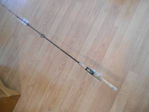 cyclone fishing pole You NEED This Rod if You Fish From Shore with TOPWATER and JERKBAITS!!!